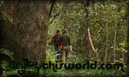 Enjoy This World explores the environment for activities to do, sites to see and places to stay.