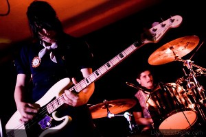Butcher Birds