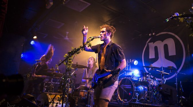 Photo Gallery : He Danced Ivy at The Zoo, Brisbane – 21 December 2017