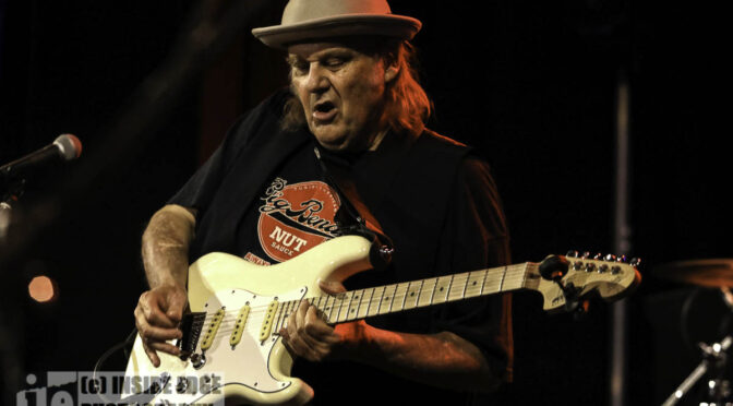 Photo Gallery: WALTER TROUT + MIKE ELRINGTON at Memo Music Hall, St Kilda – 31 January 2024